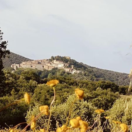 La Casa Di Rotilio E Isella Villa Buriano  Kültér fotó