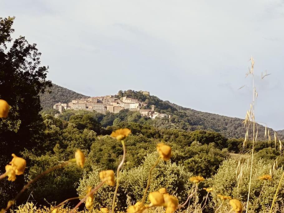 La Casa Di Rotilio E Isella Villa Buriano  Kültér fotó