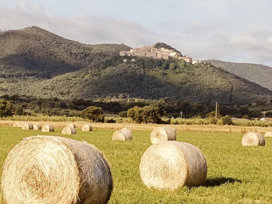 La Casa Di Rotilio E Isella Villa Buriano  Kültér fotó